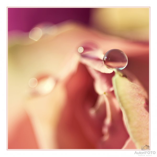 Igor Visnjakov Пейзаж